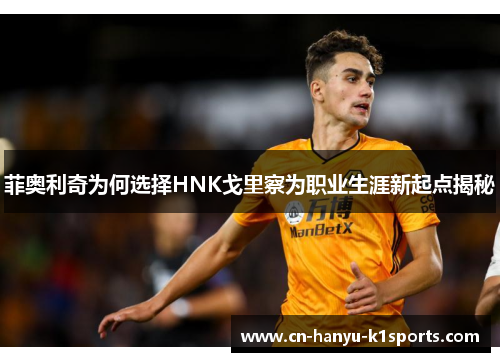 菲奥利奇为何选择HNK戈里察为职业生涯新起点揭秘